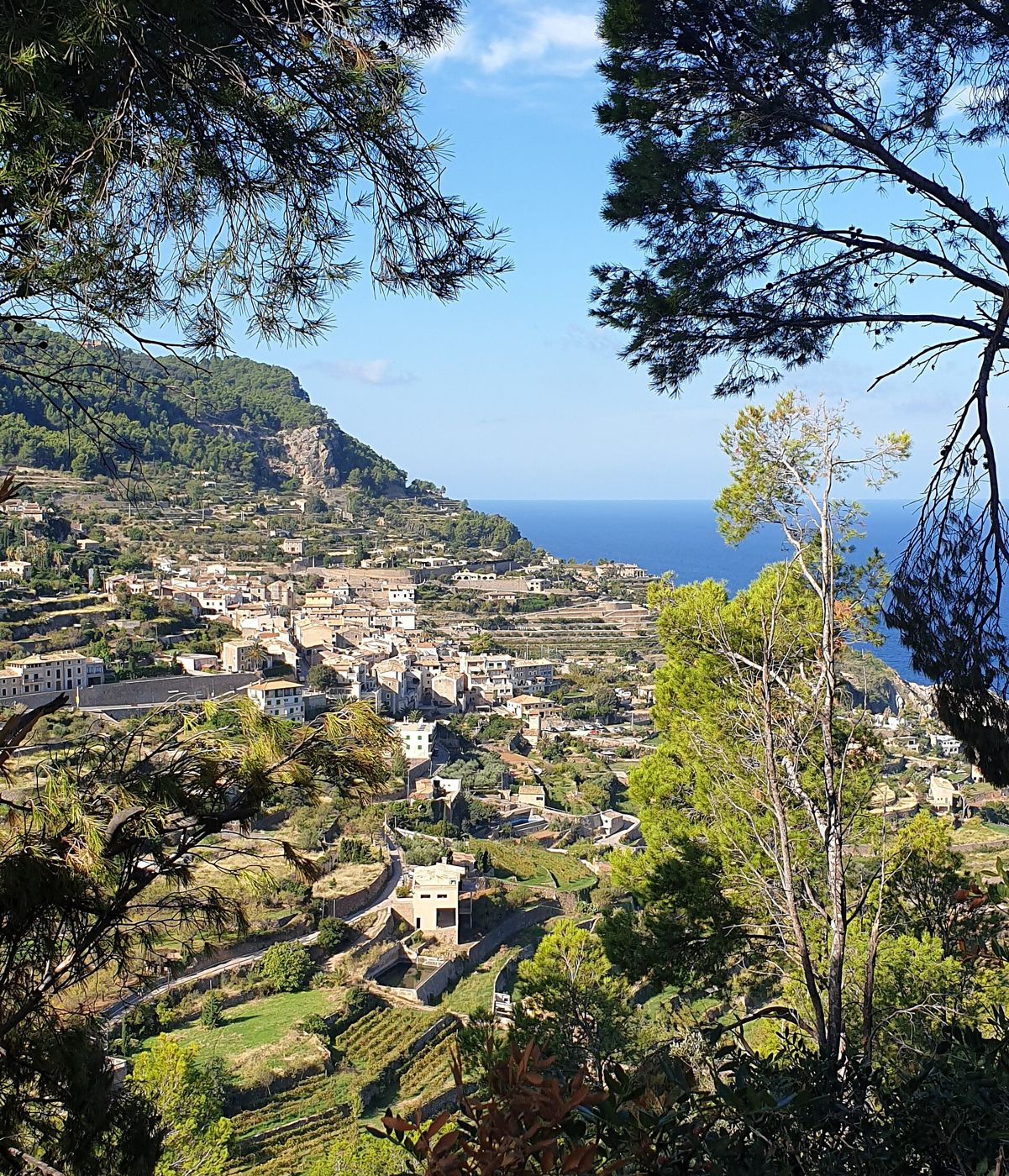 Banyalbufar — Bañalbufar (Baleares, España)