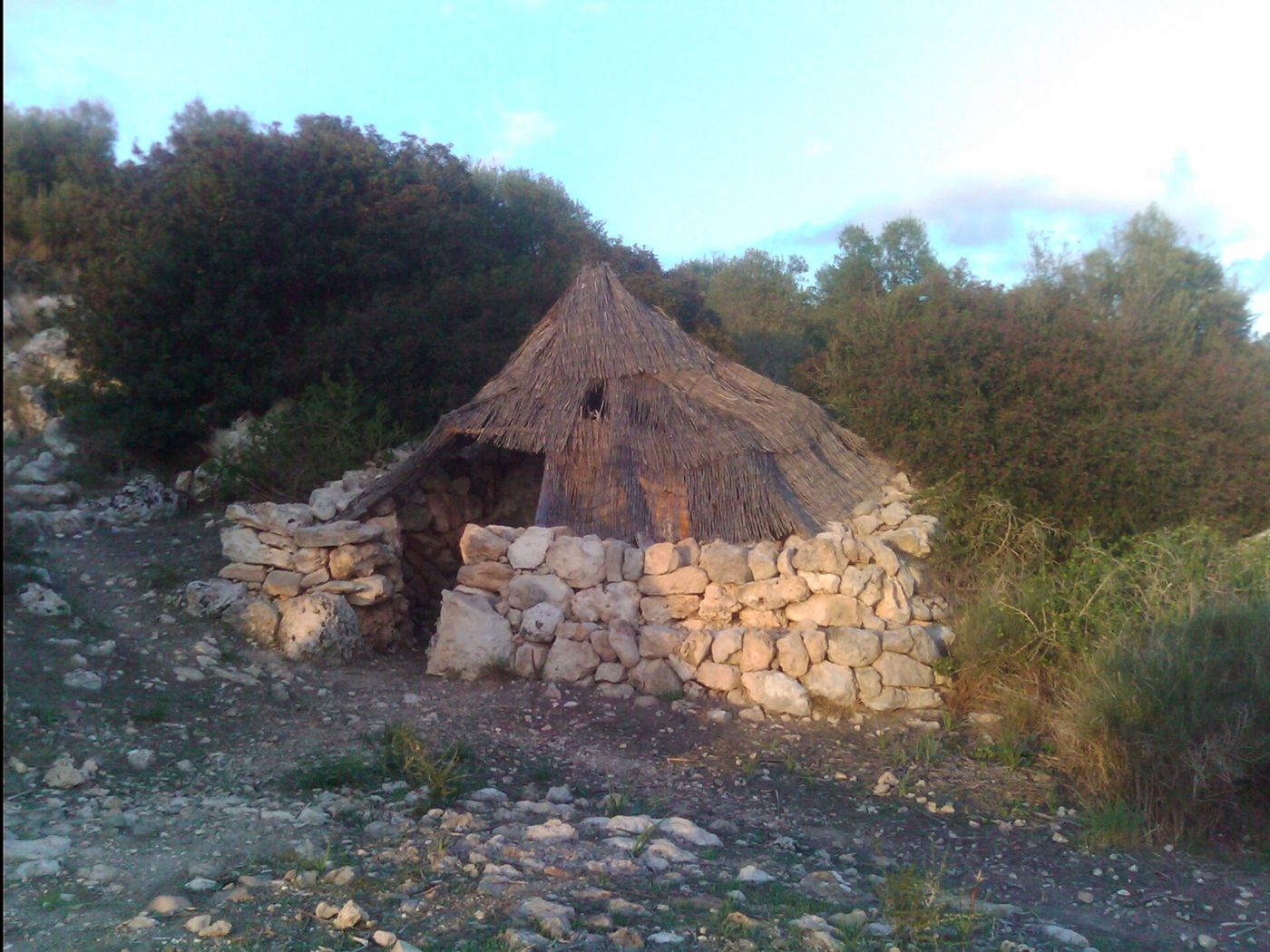 Barraca de rotero — Barraca de rotero en el Puig de la Morisca ( Calvià ) 2013-09-29 09-51-31