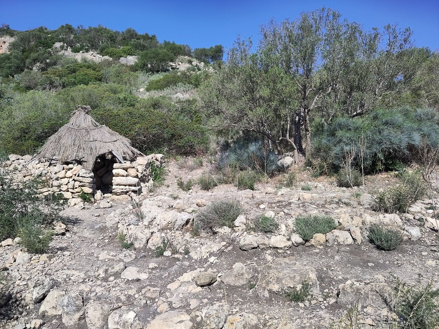 Silo de carbonero — Calvià . Puig de la Morisca. Rollo de carboneros