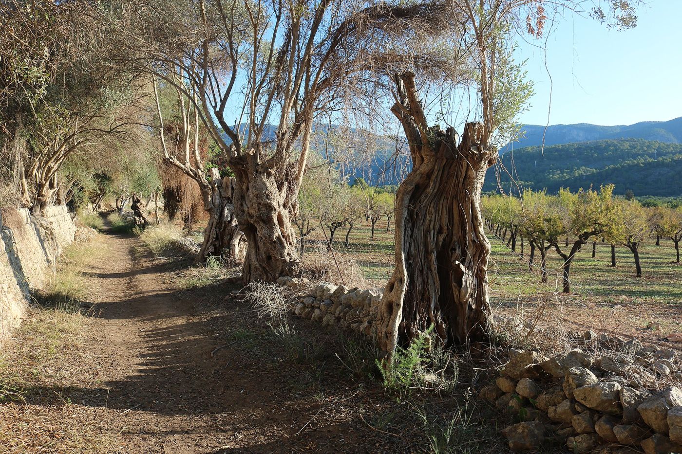 Ruta de Pedra en Sec (GR 221) — Wanderweg GR 221