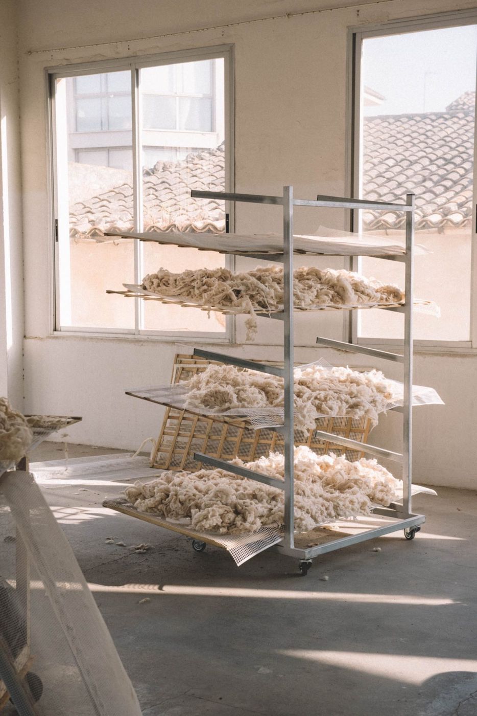 Wool, wool process