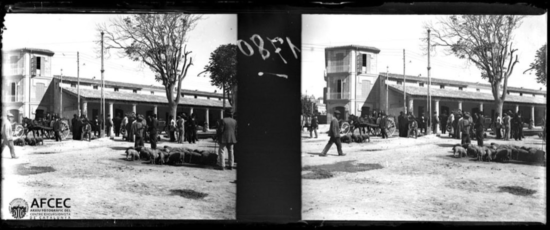 Mercado de cerdos en una plaza de Portopí