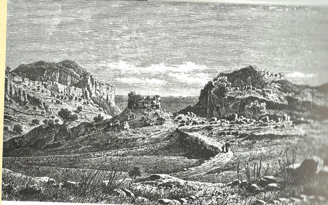 Molins de Manacor (AFCEC SOLER D 2192)