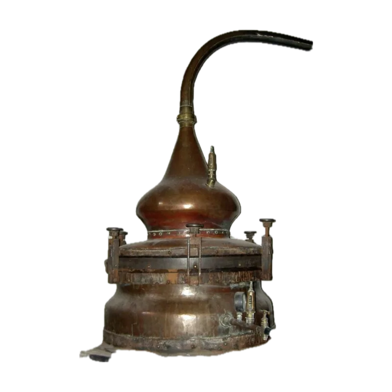Still currently used by Portet, from La Pobla de Segur.