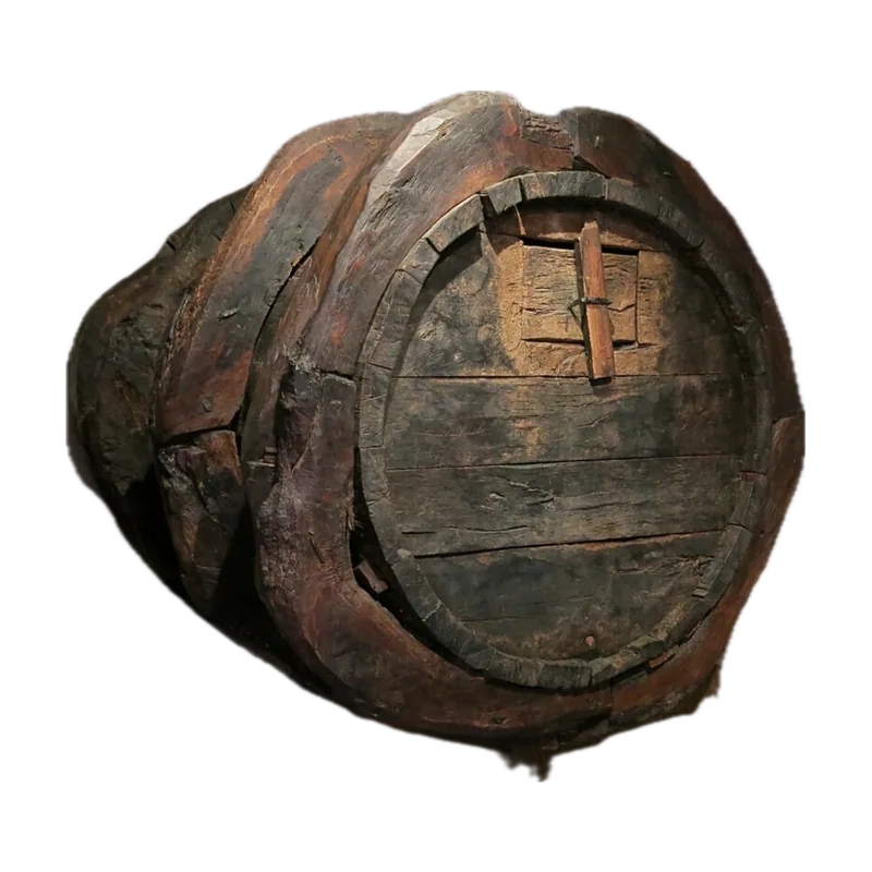 079 Vinseum, bóta congrenyada.JPG