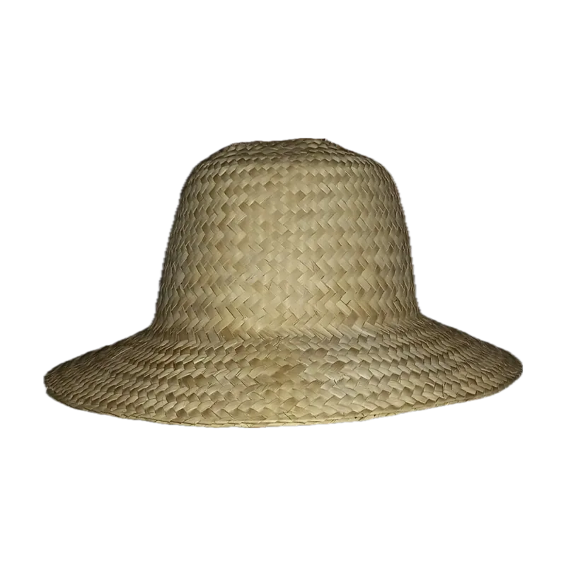Sombrero de palma.jpg