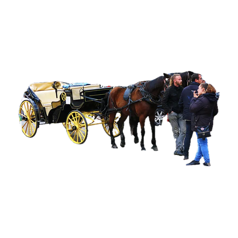 029 Carro de cavalls a la plaça de la Reina (Palma).jpg