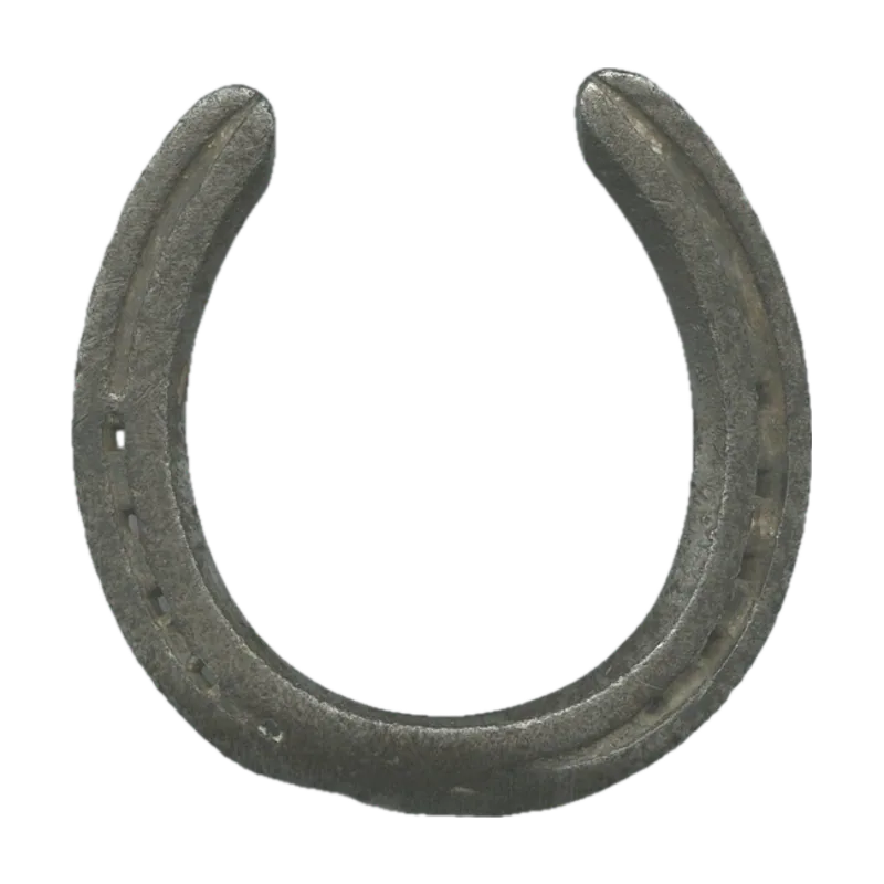 Horseshoe.jpg