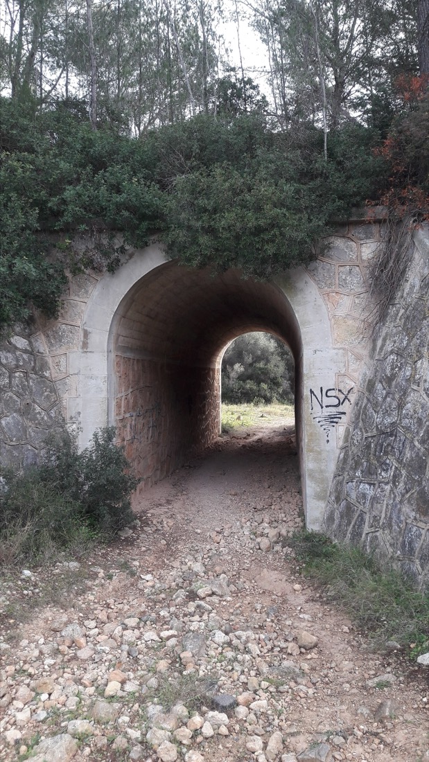 Pont del tren de Sa Pedrera sobre el Torrent des Mal Pas