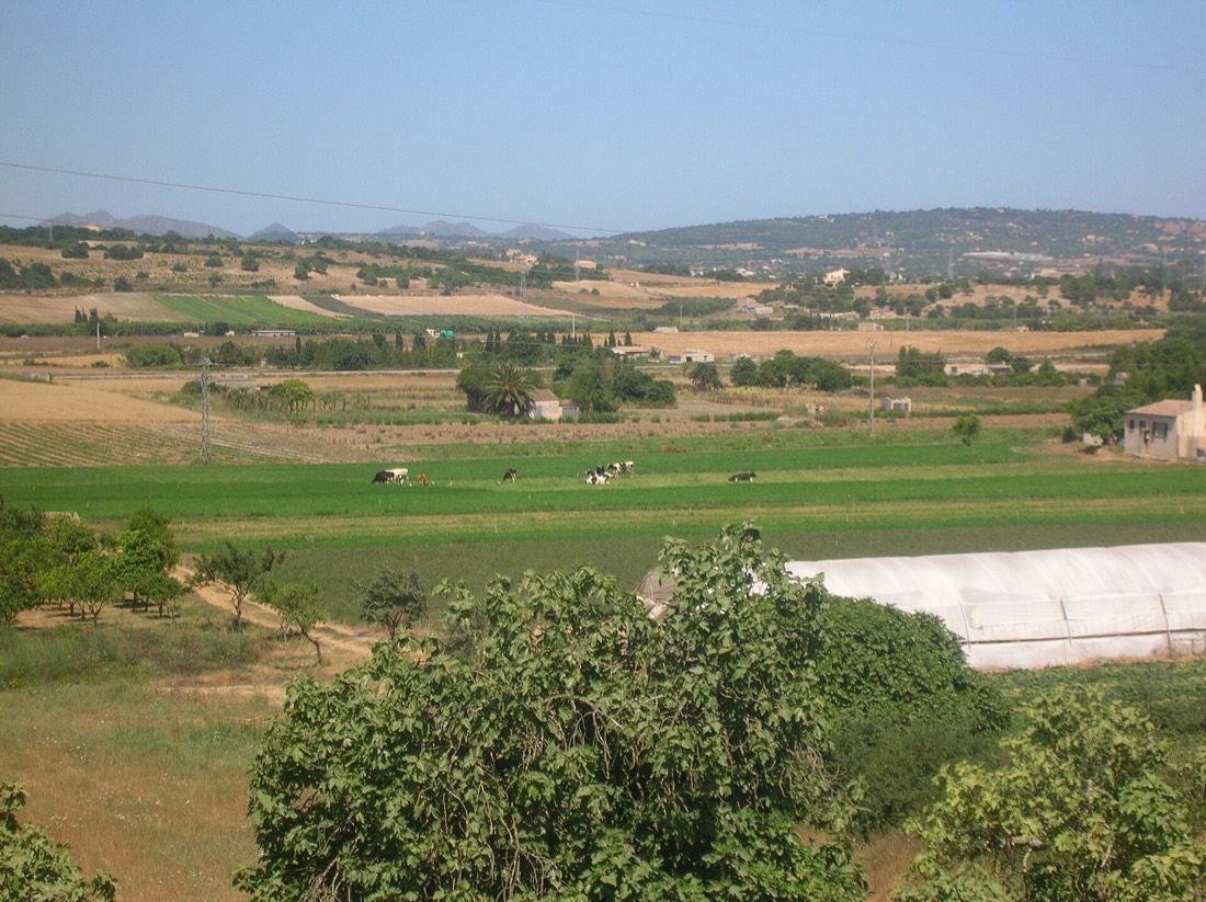 Sa Teulera